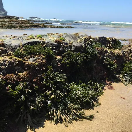 Arrifana - Casa Mares - Casa Na 阿尔热祖尔