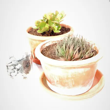 Arrifana - Casa Mares - Casa Na 度假居