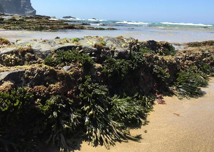 Arrifana - Casa Mares - Casa Na 알제주르