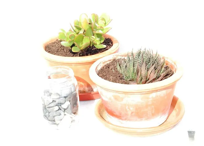 Arrifana - Casa Mares - Casa Na 펜션