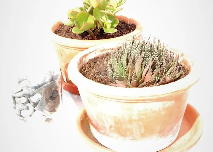 Arrifana - Casa Mares - Casa Na 펜션